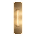 PLACA DE EMPUJE CON JALADERA (400×100mm) - ACERO INOXIDABLE 304 - MOD. PJ107400